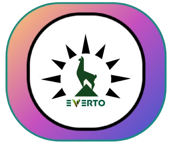EVERTO LLC
