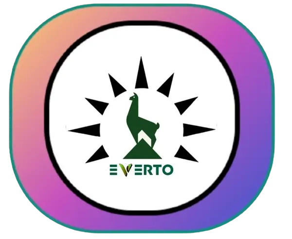 EVERTO LLC